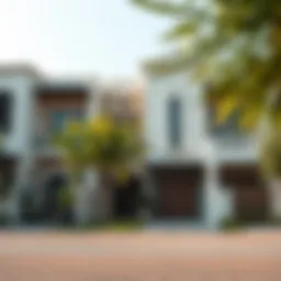 Elegant freehold townhouse exterior in Dubai