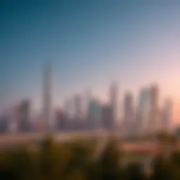 Stunning skyline view of Mena Jebel Ali